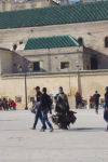chickens for sale in Medina, Fez