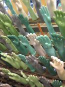 pick me, pick me!
