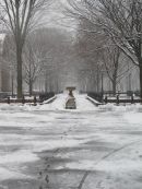 Poets' Walk in snow, Central Park 01