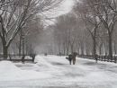 Poets' Walk, Central Park 03