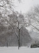 San Remo in snow, Central Park
