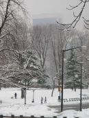 Central Park in snow 05