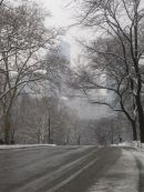 Central Park in snow 03