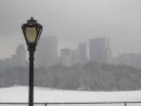 Central Park in snow 11