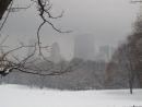 Central Park in snow 12