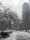 Central Park in snow 08