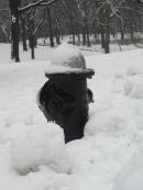 fire hydrant, Central Park