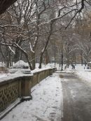 Central Park in snow 09
