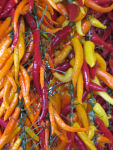peppers