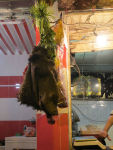 Camel head in market, Fez