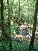 Mantadia National Park