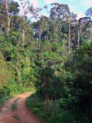 Mantadia National Park