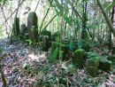 Ancient burial ground, Ranomafana