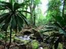 Masoala National Park