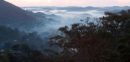 Dawn at Ranomafana