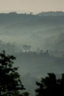 Dawn scenic, Ranomafana