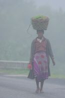Going to market, Ranomafana