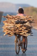 Cyclist going to market