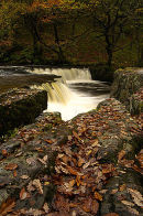 Ref: LS0048 - Horseshoe Falls