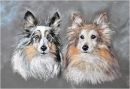 Dixie and Casper