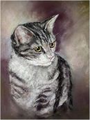 Kitten