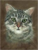 Mrs Chippy