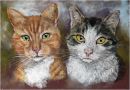 Tyson and Todd