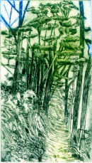 Forest Path