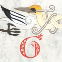 G for Gannet