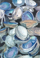 Paua