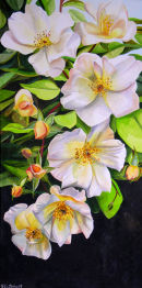 Sally Holmes Rose