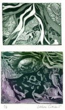 Top - Rockpool with hermit crab                      Bottom - Rockpool with crab