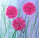 'Allium Dazzle' Original Framed Tissue Paper Collage