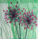 'Alliums Alive' Original Tissue Paper Collage On Canvas. SOLD