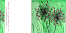 'Alliums Alive'