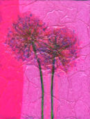 'Friends To The End I'   Original Tissue Paper Collage on Canvas. Unframed. SOLD