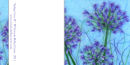 'Indigo Love II'