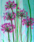 'Serenity' Original Framed Art Work SOLD