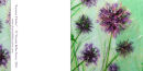 'Summer Thistles'