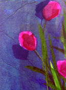 'True To You' Original Framed Art Work. SOLD