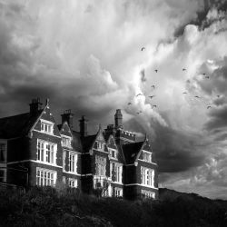 whitsand bay hotel