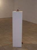 Untitled (quince buggy)