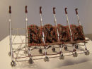 Untitled (quince buggy)
