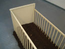 Untitled (long cot)
