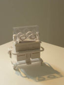 Untitled (incubator)