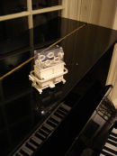 Untitled (incubator)